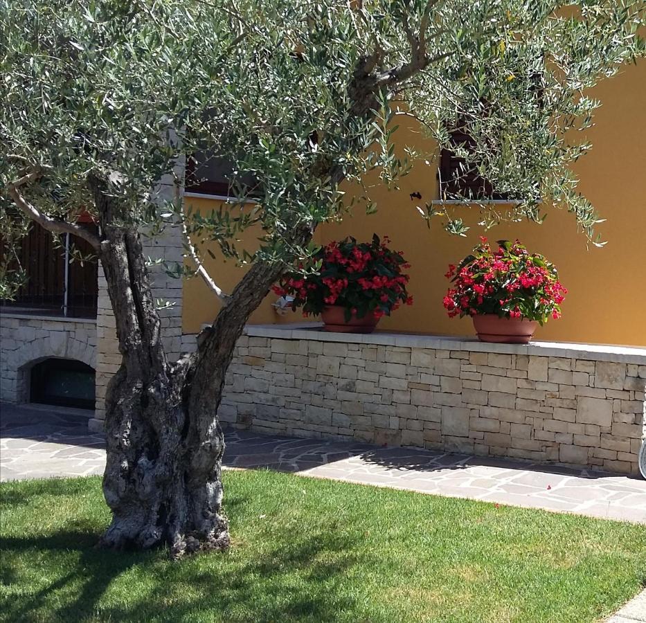 Studio Apartments Pinia-Marina Poreč Dış mekan fotoğraf
