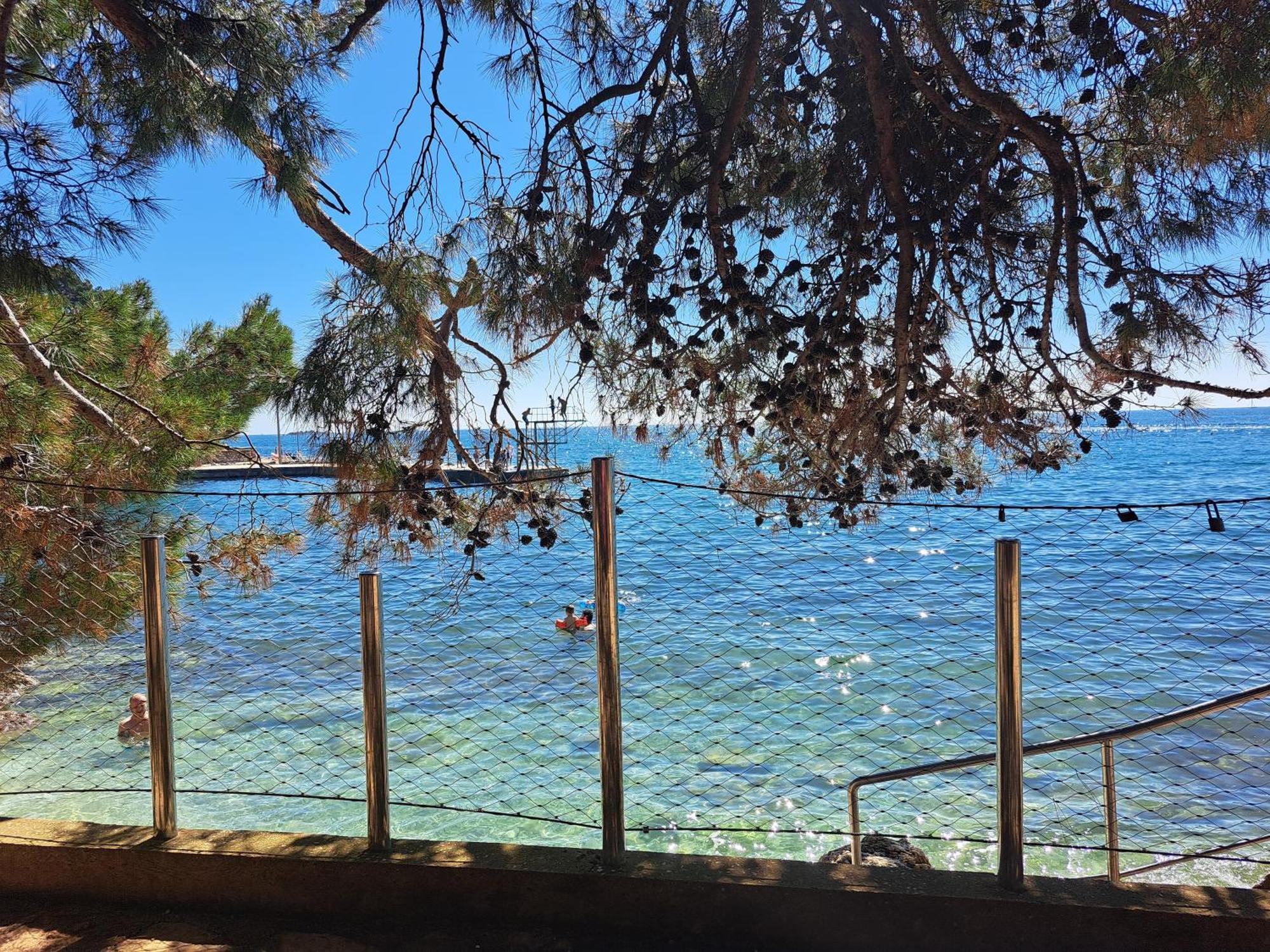Studio Apartments Pinia-Marina Poreč Oda fotoğraf