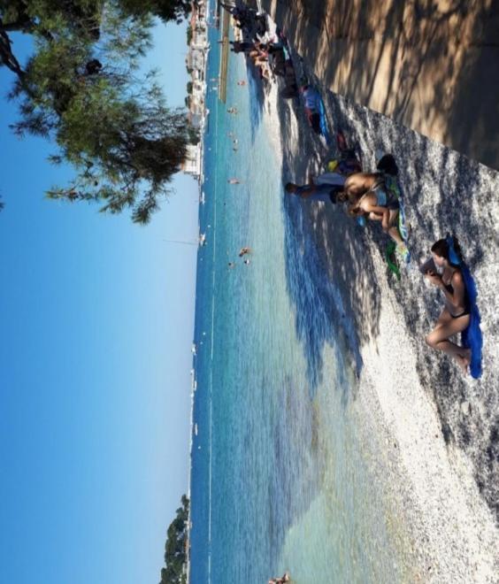 Studio Apartments Pinia-Marina Poreč Dış mekan fotoğraf